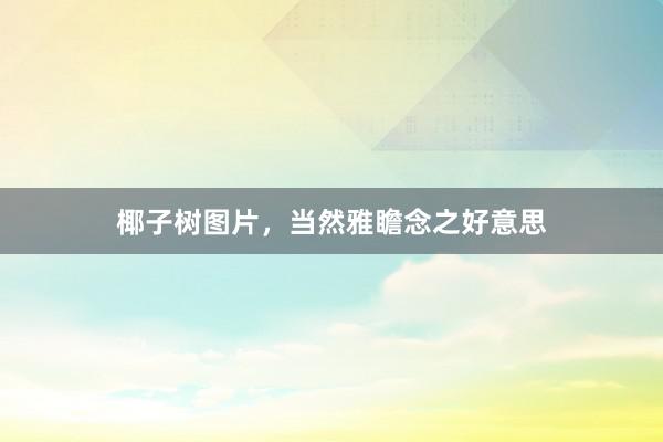 椰子树图片，当然雅瞻念之好意思