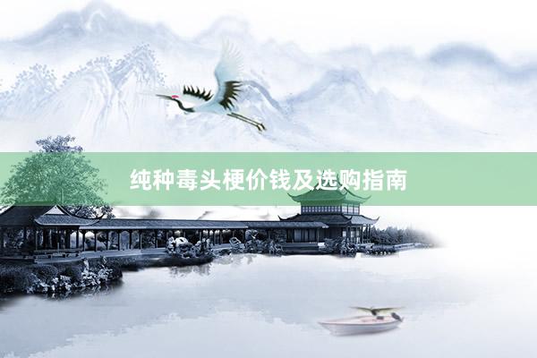 纯种毒头梗价钱及选购指南